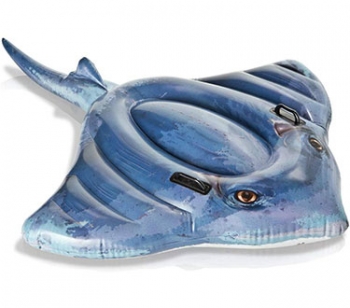 شناور بادی طرح سفره ماهی